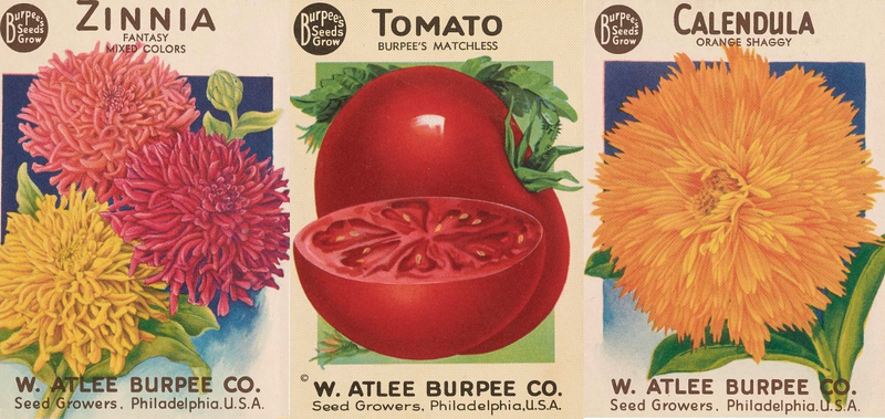 Courtesy the Smithsonian.